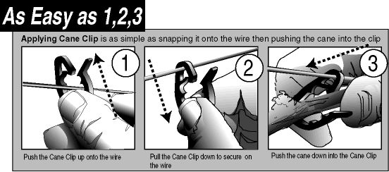 Cane Clip